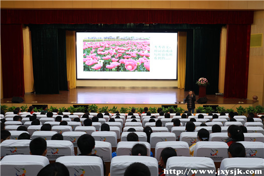 罂粟花_副本.jpg