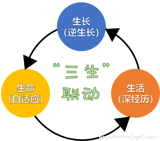 图3.png