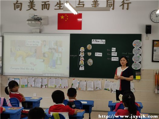 杨扬2_副本.jpg
