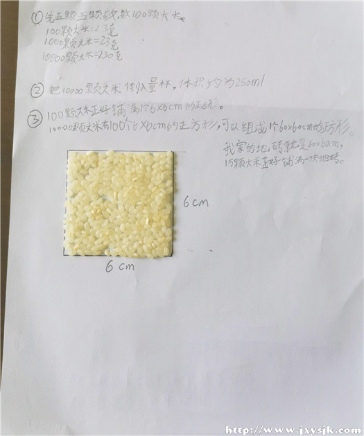 C9.jpg
